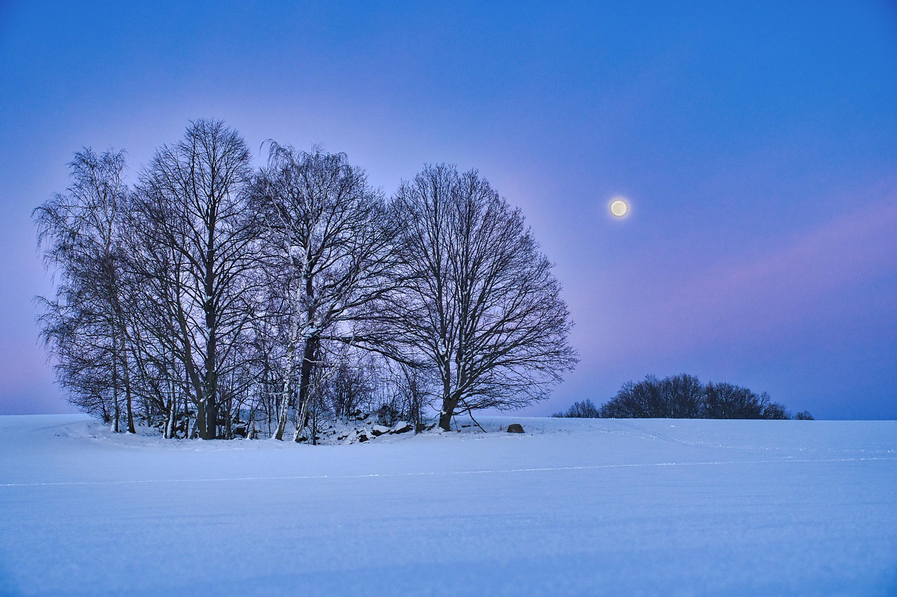 Pleine lune au-dessus d'un champ enneigé la nuit, en hiver nordique