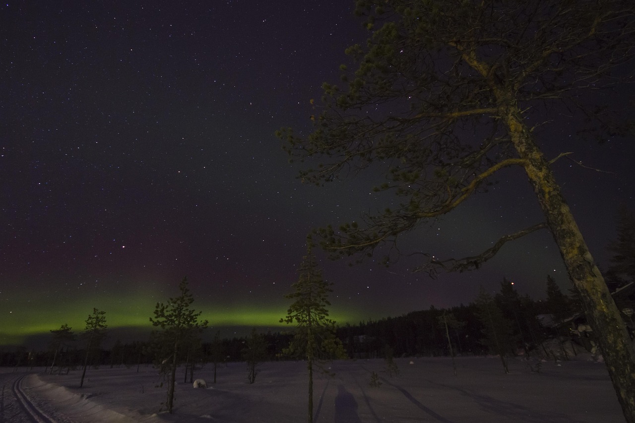 Aurore boréale verte au-dessus d'une forêt enneigée de Laponie finlandaise