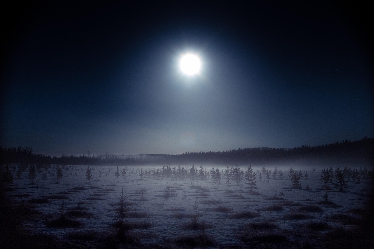 Ciel nocturne d'hiver partiellement nuageux au-dessus d'une forêt enneigée