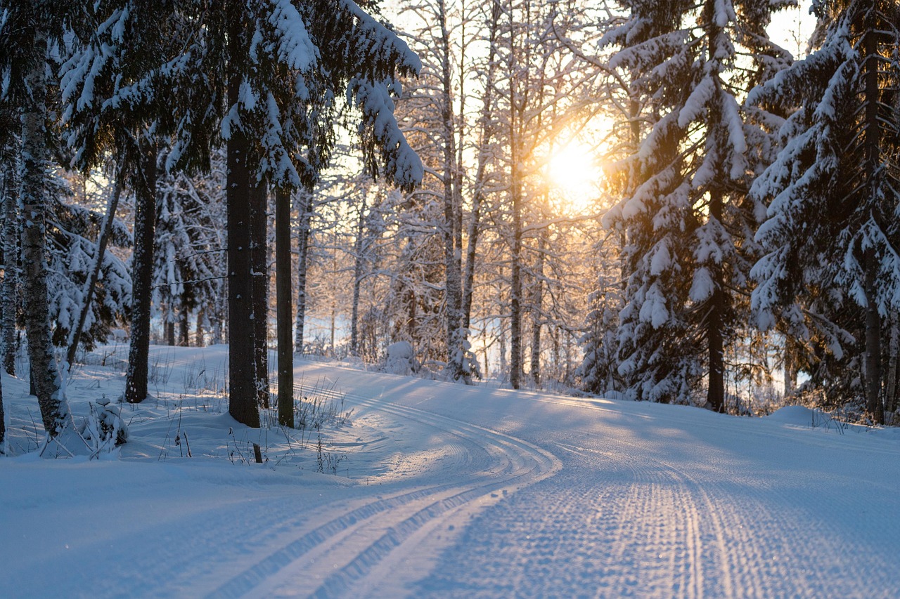 Traces de ski de fond dans la neige fraîche d'un paysage de Laponie finlandaise
